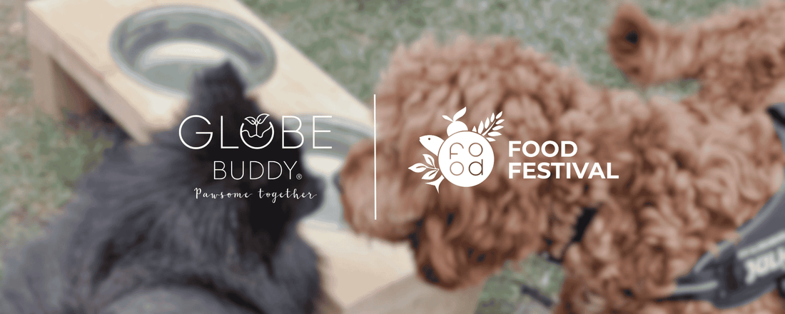Vi er nye best buddies: Globe Buddy x Food Festival