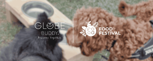 Vi er nye best buddies: Globe Buddy x Food Festival