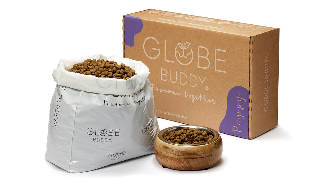 Nyhed: Globe Buddy Puppy – hvalpefoder med insektprotein