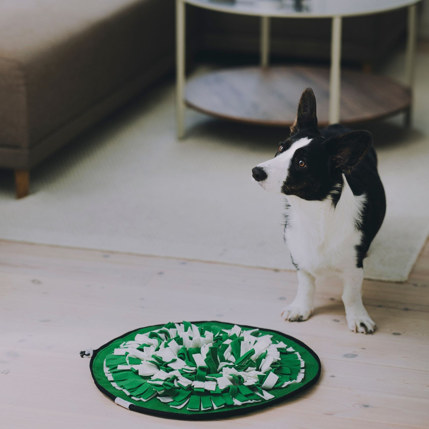 FunPack: Globe Buddy Snuzzle, snusemåtte til hunde, fleece, 50 cm + 2 poser Luxx (spar 78 kr.)