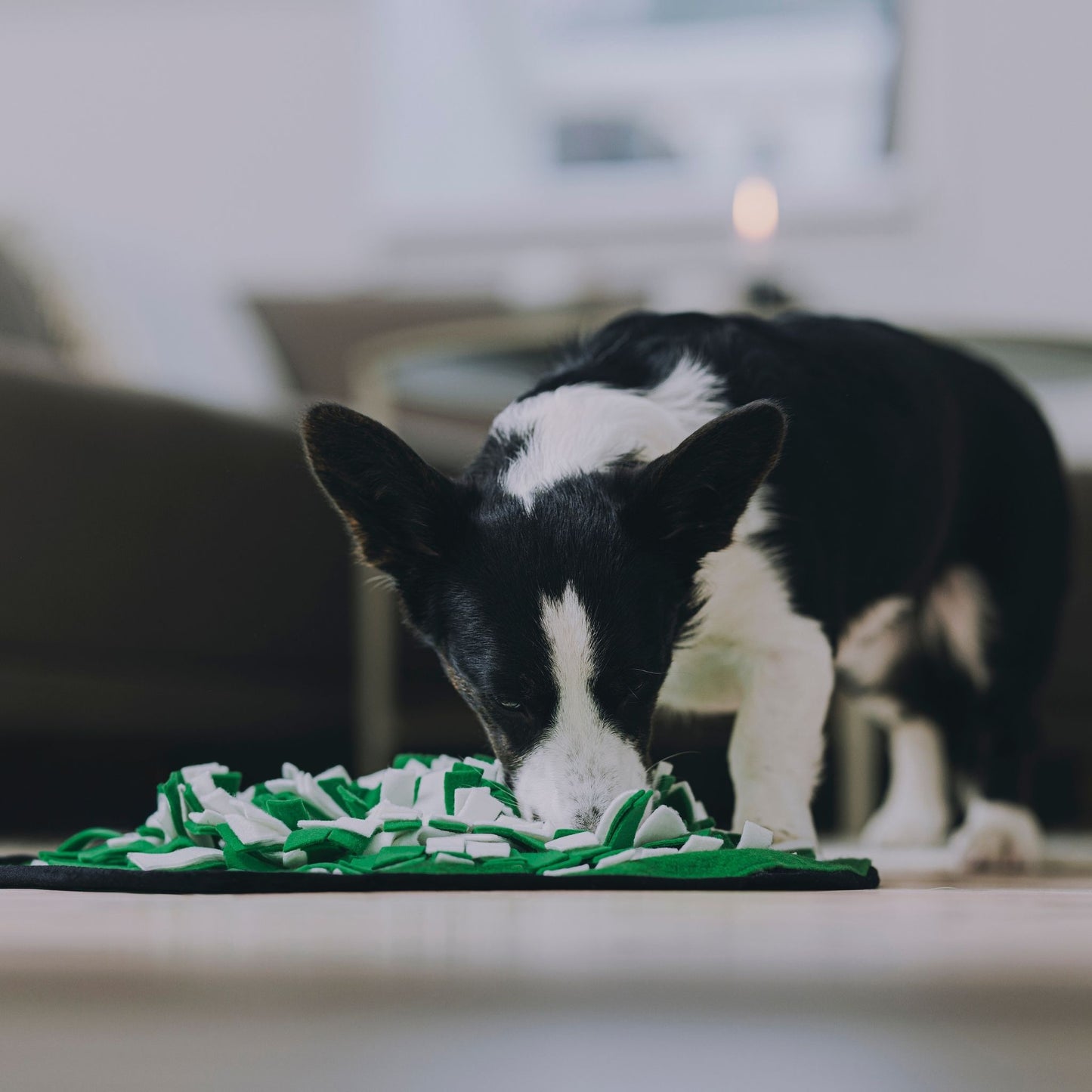 FunPack: Globe Buddy Snuzzle, snusemåtte til hunde, fleece, 50 cm + 2 poser Luxx (spar 78 kr.)