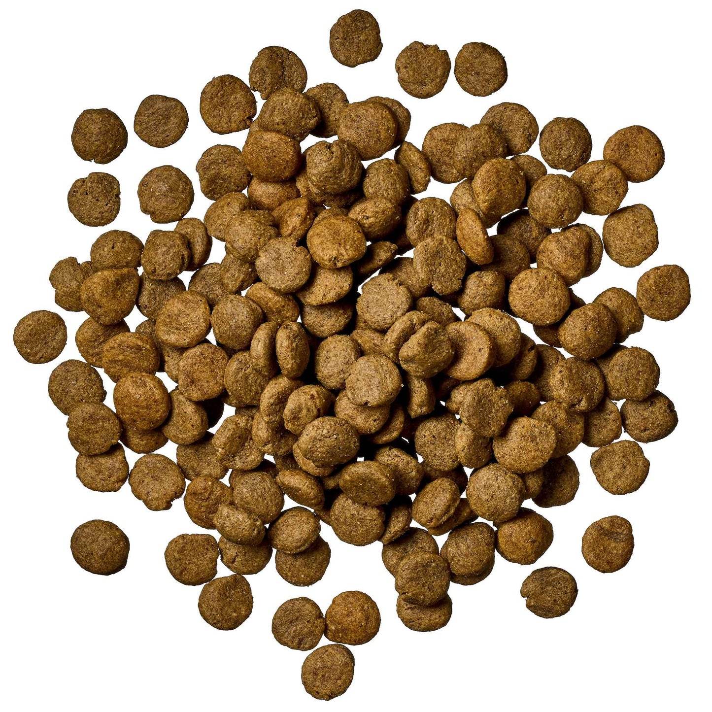 Globe Buddy Brown, dansk premium fuldfoder med insektprotein, 2,5 kg