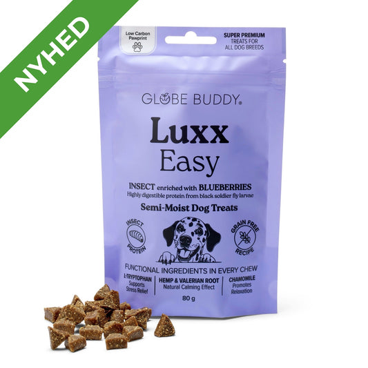 Globe Buddy Luxx Easy, funktionelle bløde godbidder, insektprotein og blåbær, 80 g