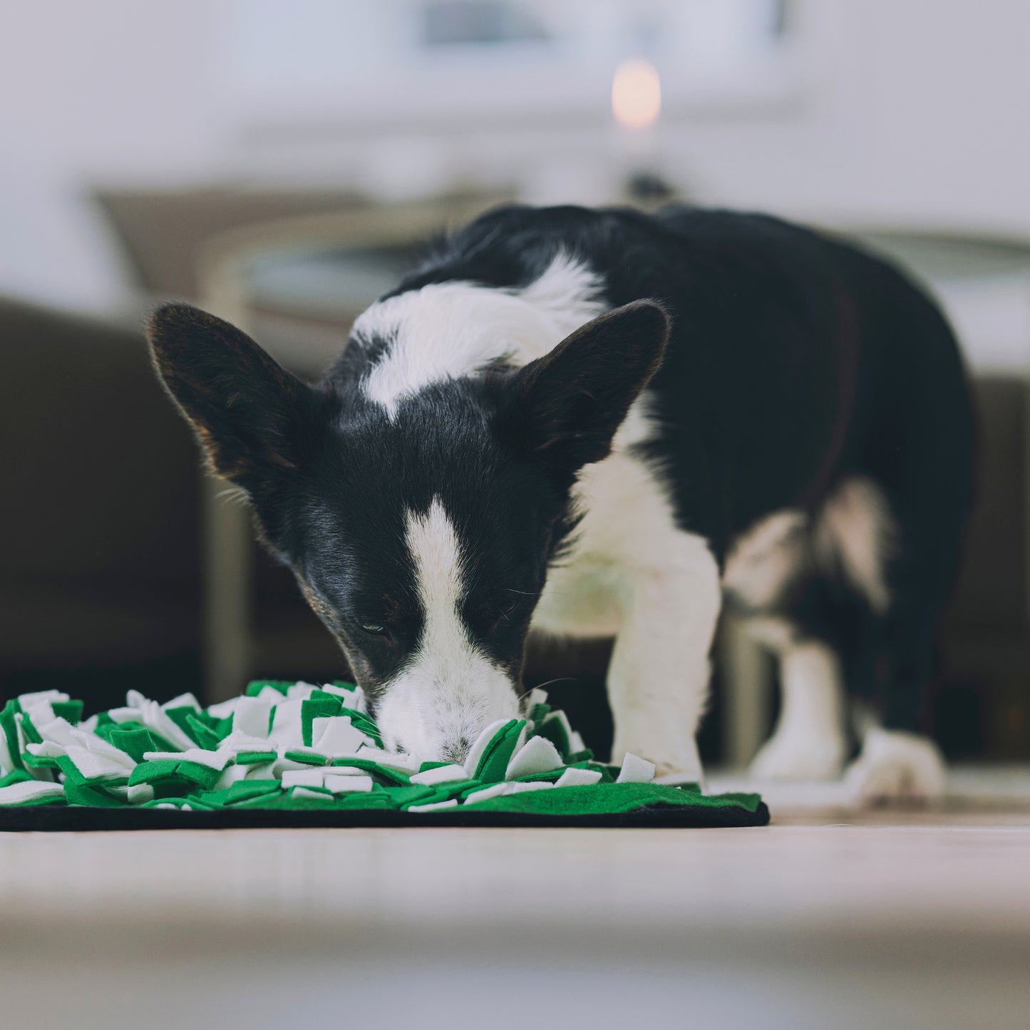 Globe Buddy Snuzzle™ – Snusemåtte til hunde, 50 cm – 3 farver