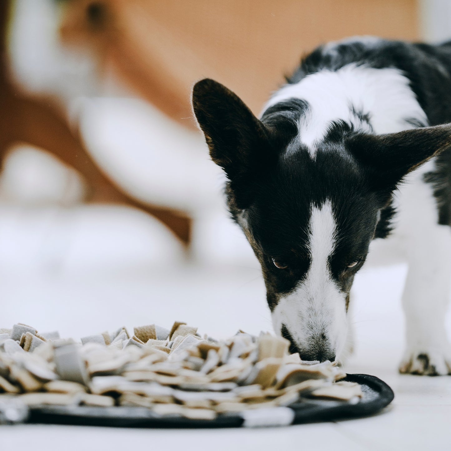 Globe Buddy Snuzzle™ – Snusemåtte til hunde, 50 cm – 3 farver