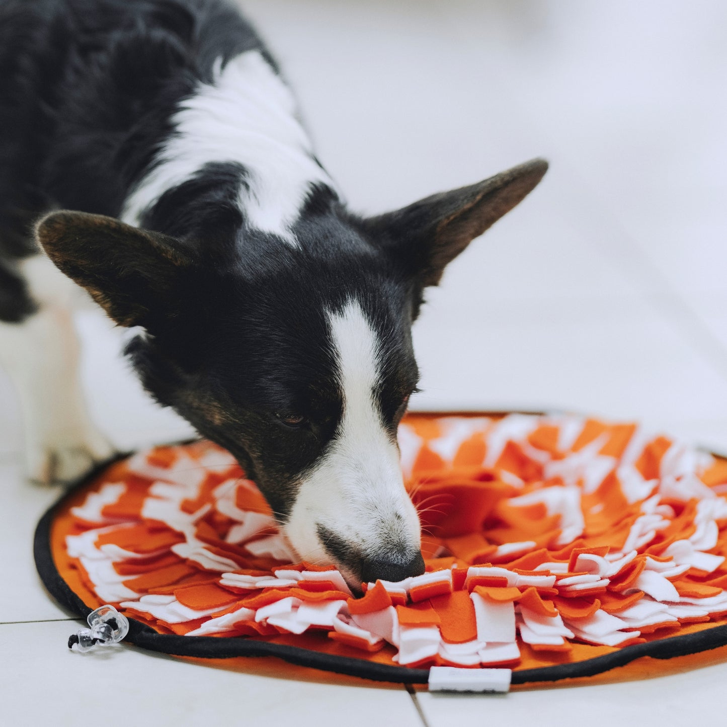 Globe Buddy Snuzzle™ – Snusemåtte til hunde, 50 cm – 3 farver
