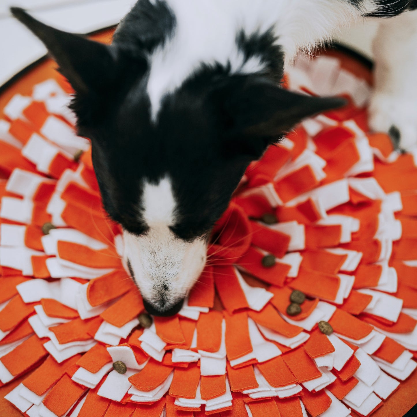 Globe Buddy Snuzzle™ – Snusemåtte til hunde, 50 cm – 3 farver